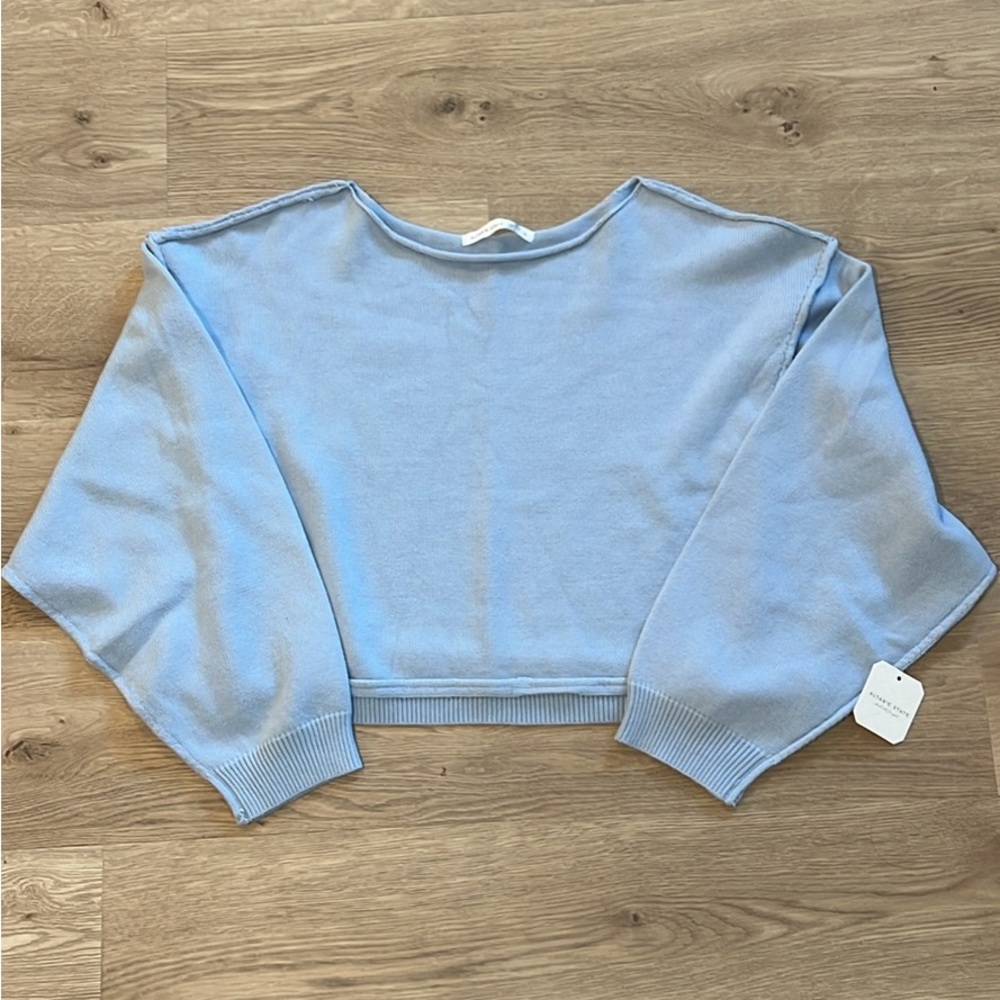 Altar'd State Light Blue Crew Neck Sweater